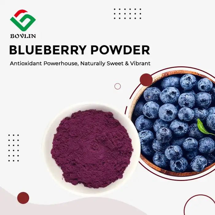 Blueberry Powder Bulk